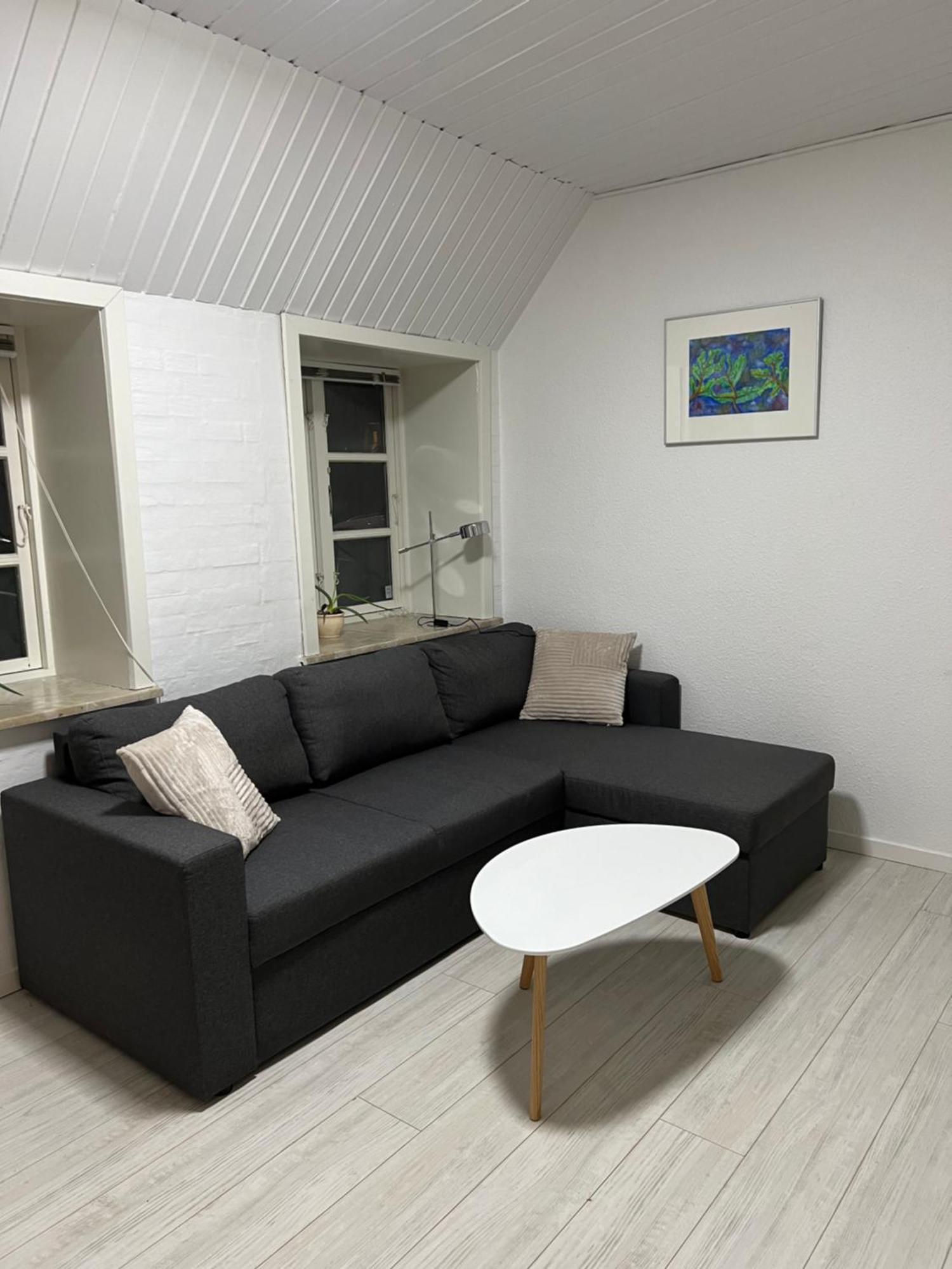 Apartment With Wifi, Close To City Center, Beach And Forrest Aabenraa Exterior foto