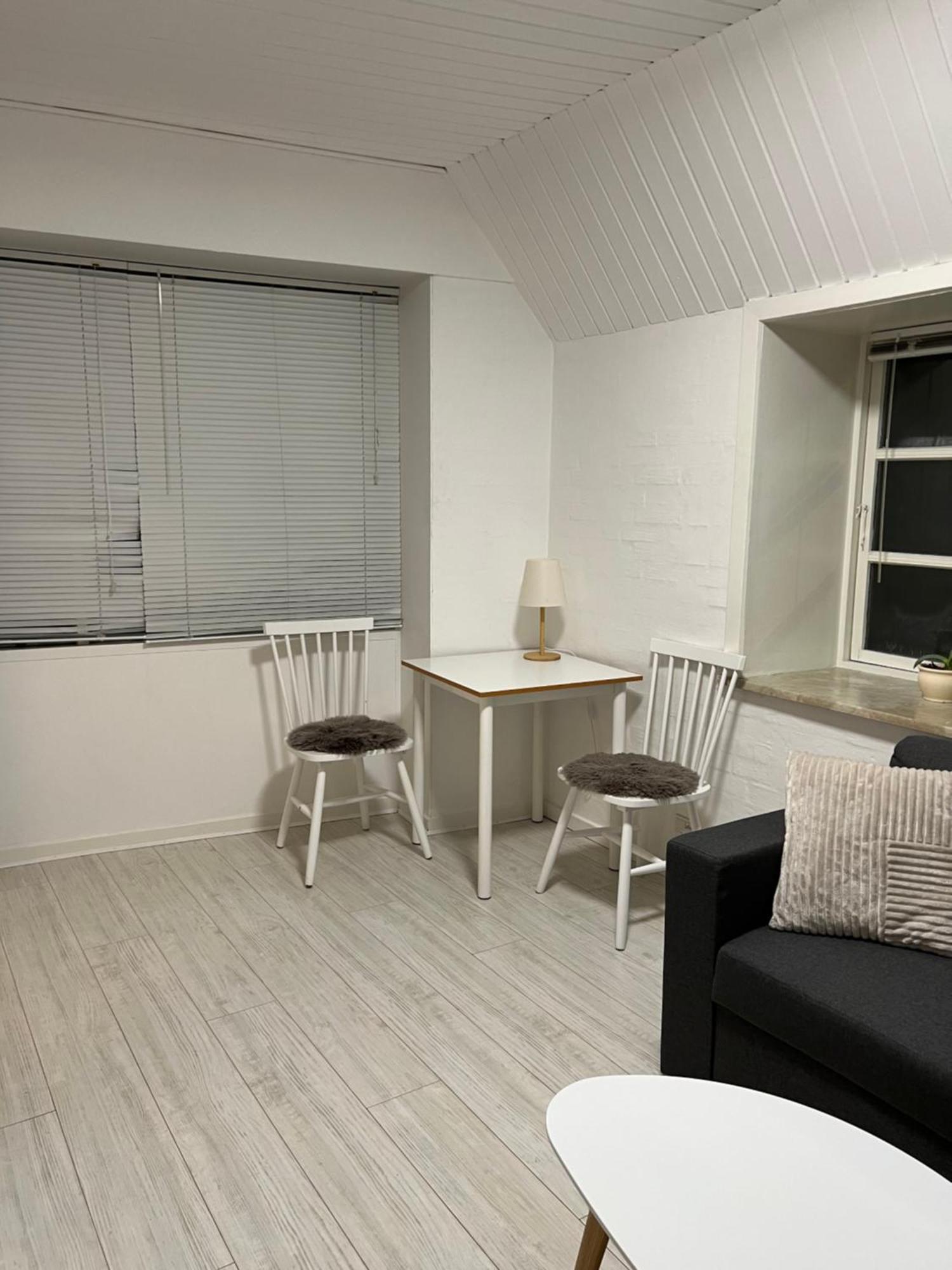 Apartment With Wifi, Close To City Center, Beach And Forrest Aabenraa Exterior foto